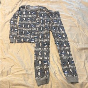 Hanna Andersson Pajama Set with Penguin Pattern